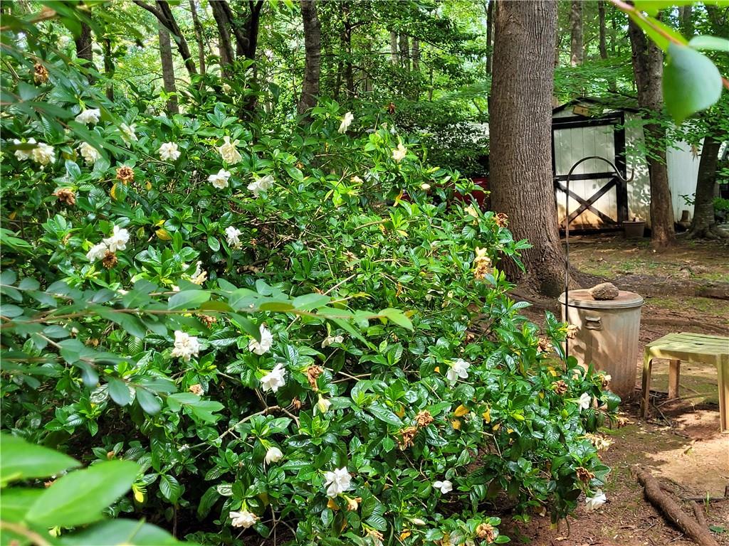 847 Knottywood Drive Lavonia GA 30553