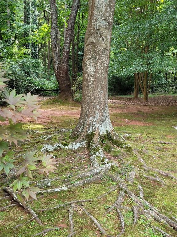 847 Knottywood Drive Lavonia GA 30553