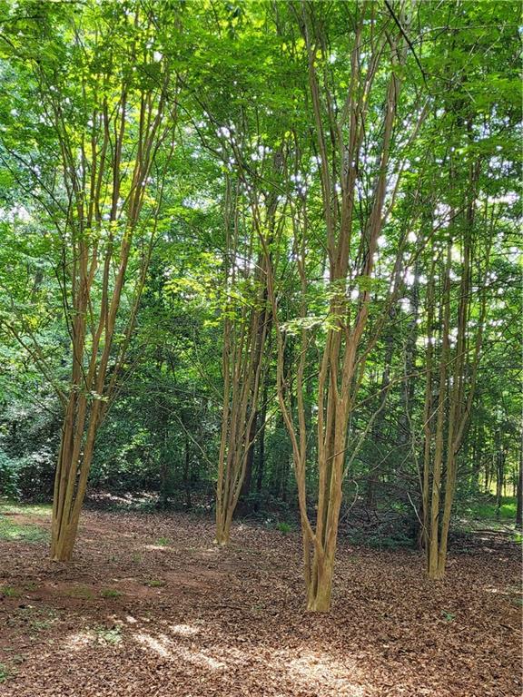 847 Knottywood Drive Lavonia GA 30553