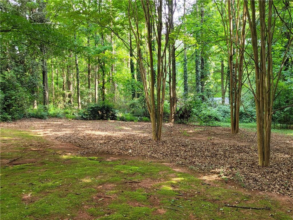 847 Knottywood Drive Lavonia GA 30553