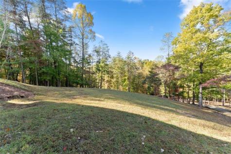 2123 Goat Neck Road Cleveland GA 30528