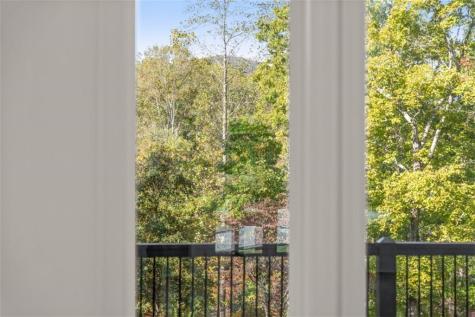 2123 Goat Neck Road Cleveland GA 30528