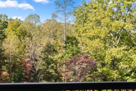 2123 Goat Neck Road Cleveland GA 30528