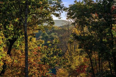 184 High Meadows Court Morganton GA 30560