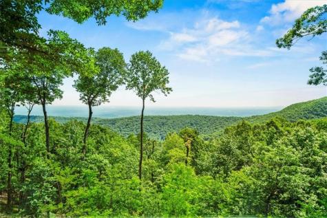 88 Sanderlin Mtn Drive S Big Canoe GA 30143