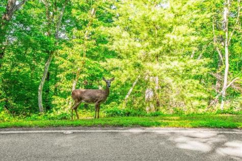 88 Sanderlin Mtn Drive S Big Canoe GA 30143