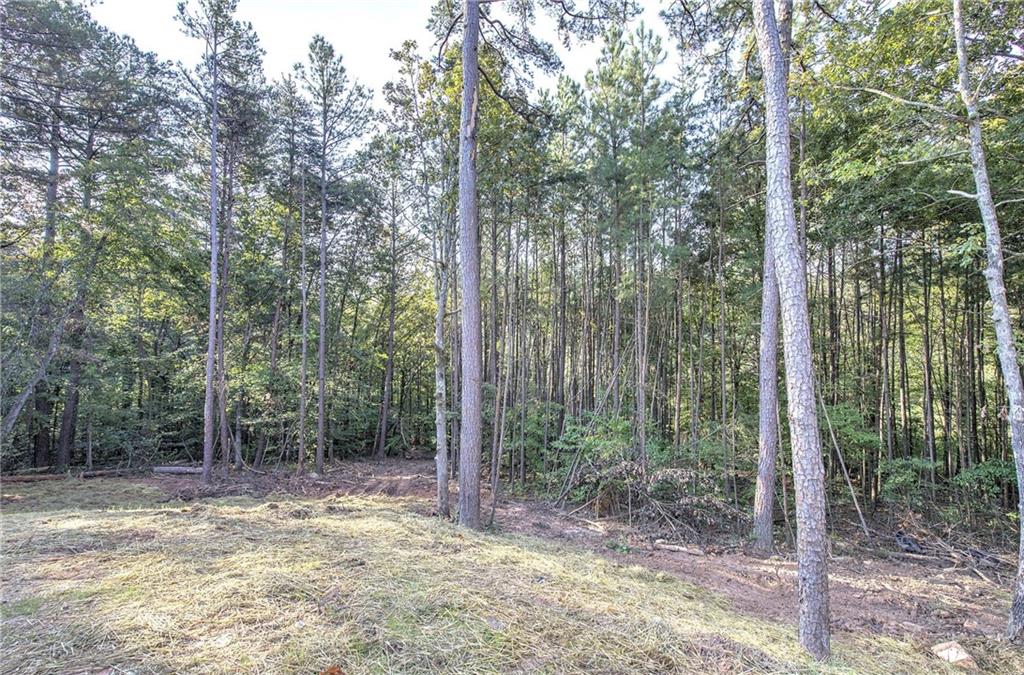 7467 Yukon Road Talking Rock GA 30175