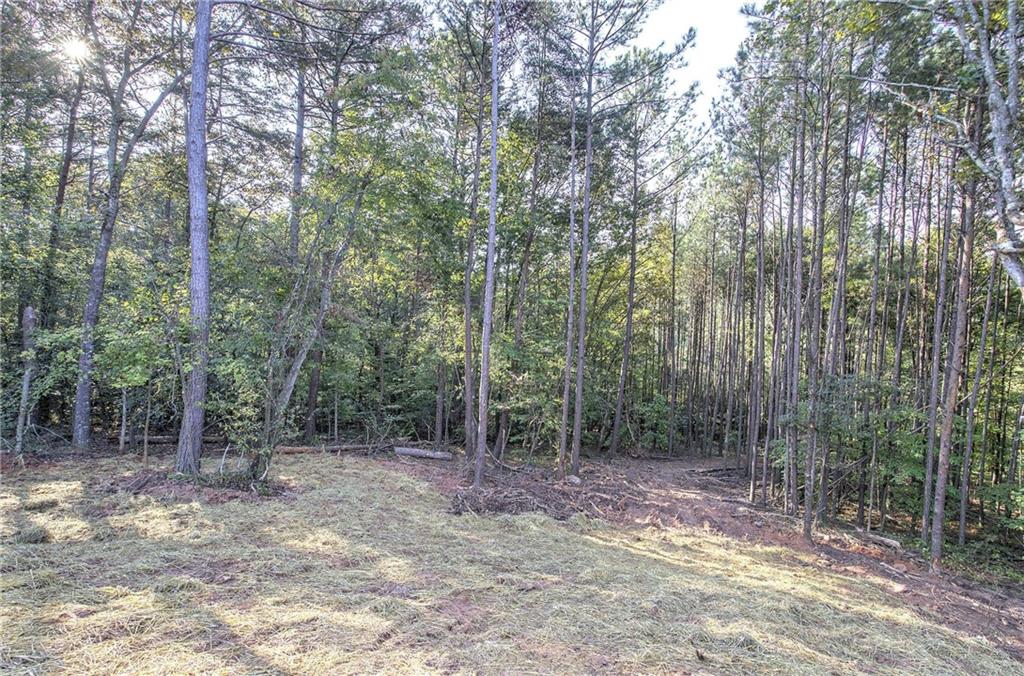7467 Yukon Road Talking Rock GA 30175