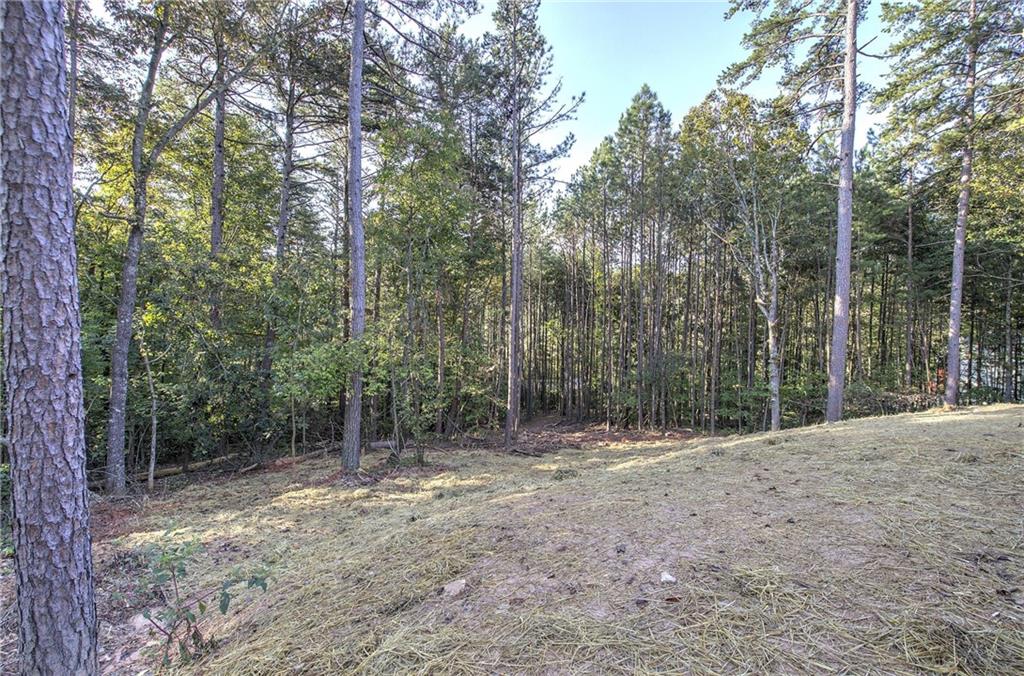 7467 Yukon Road Talking Rock GA 30175