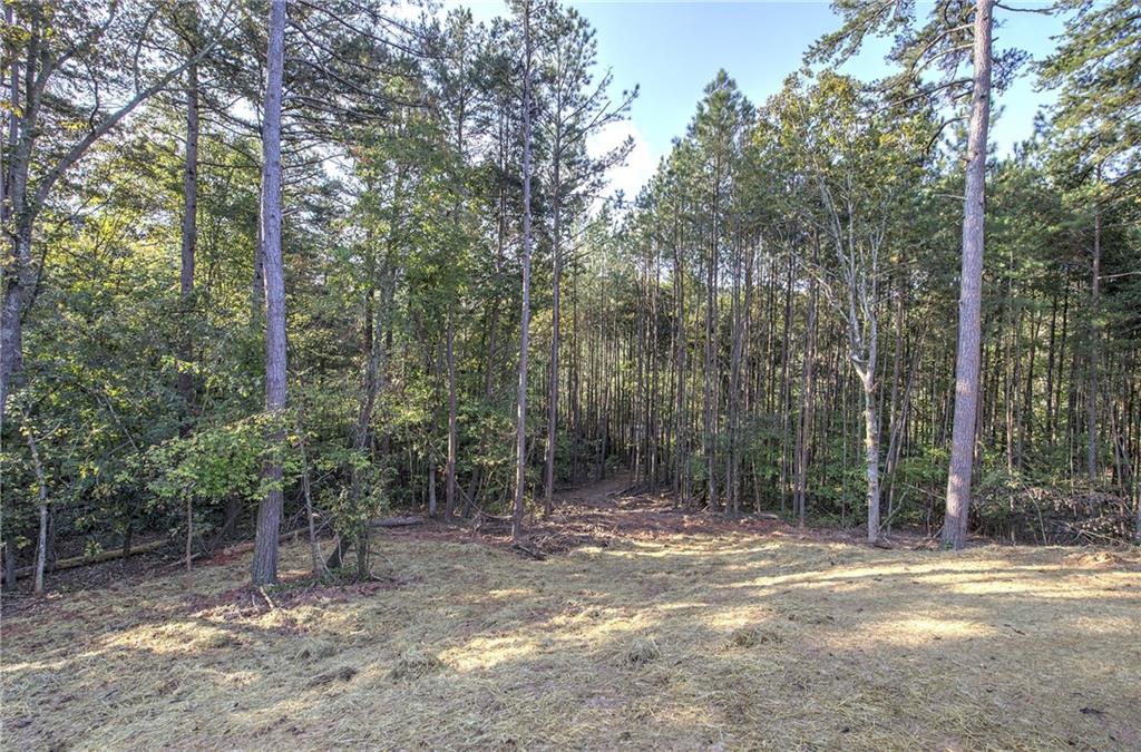 7467 Yukon Road Talking Rock GA 30175