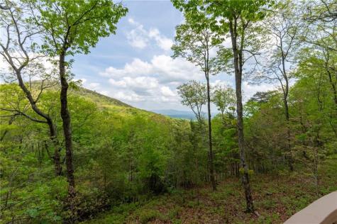24 Fern Creek Court Jasper GA 30143