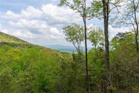 24 Fern Creek Court Jasper GA 30143