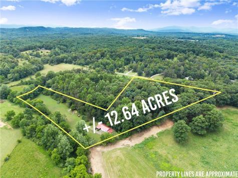 2290 Alec Mountain Clarkesville GA 30523