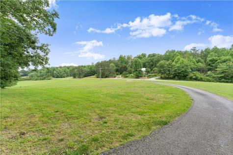 2290 Alec Mountain Clarkesville GA 30523