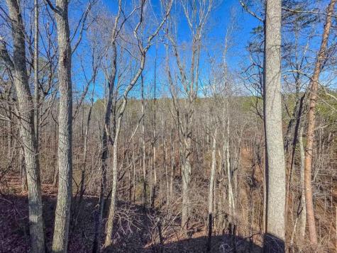 165 Horseshoe Bend Jasper GA 30143