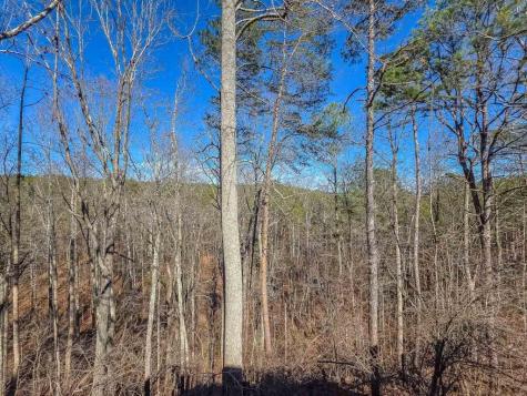 165 Horseshoe Bend Jasper GA 30143