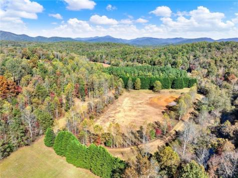 134 Elkmont Drive Dahlonega GA 30533
