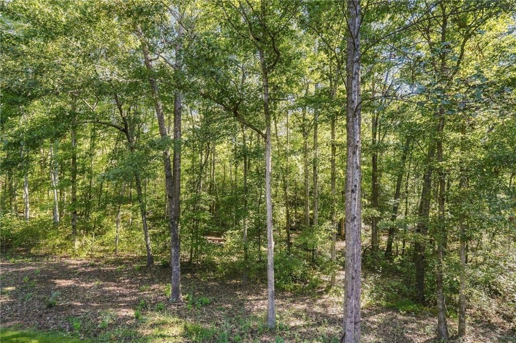 106 Shalea Lane Ball Ground GA 30107