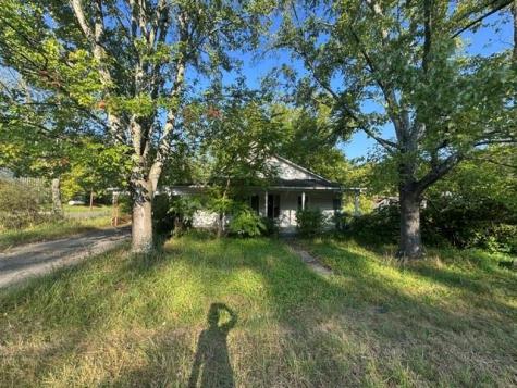 57 Spruce Street Mineral Bluff GA 30559