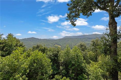 495 Overlook Drive Blue Ridge GA 30513
