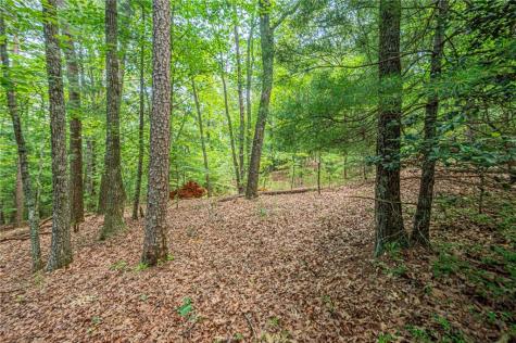 731 Jim Anderson Road Dahlonega GA 30533