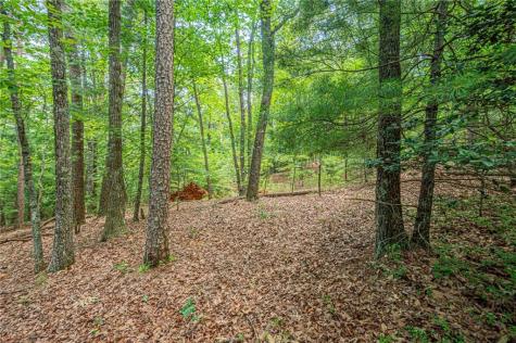 731 Jim Anderson Road Dahlonega GA 30533