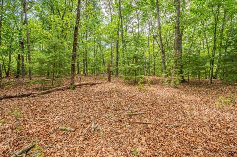 731 Jim Anderson Road Dahlonega GA 30533