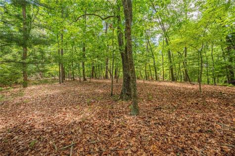 731 Jim Anderson Road Dahlonega GA 30533