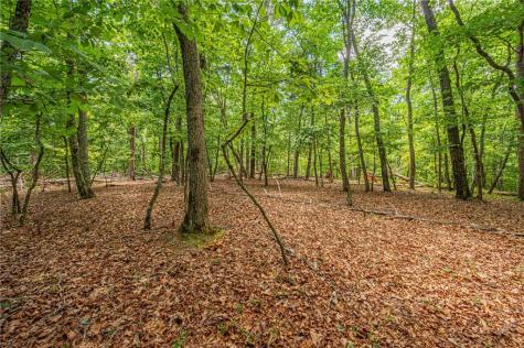 731 Jim Anderson Road Dahlonega GA 30533