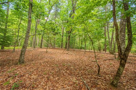 731 Jim Anderson Road Dahlonega GA 30533