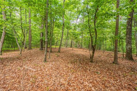 731 Jim Anderson Road Dahlonega GA 30533