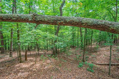 731 Jim Anderson Road Dahlonega GA 30533