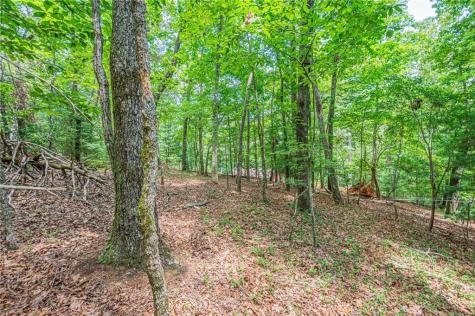 731 Jim Anderson Road Dahlonega GA 30533