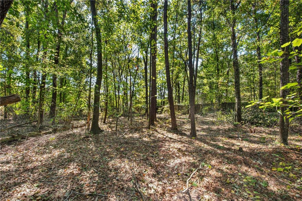 4645 Walt Court Cumming GA 30028