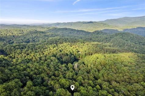 889 Granny Branch Drive Blue Ridge GA 30513