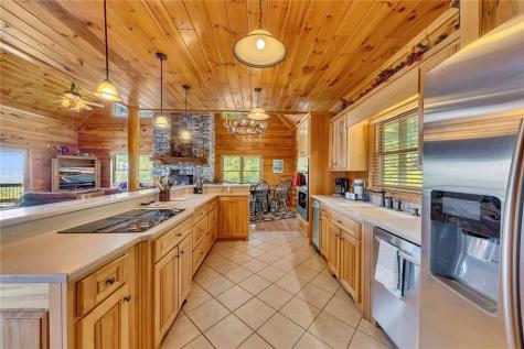 499 Raven Ridge Circle Mineral Bluff GA 30559