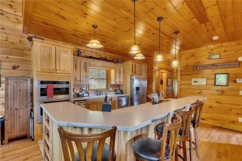 499 Raven Ridge Circle Mineral Bluff GA 30559