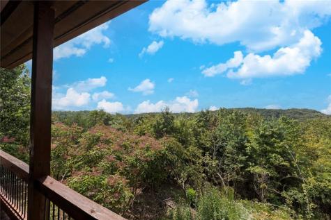 499 Raven Ridge Circle Mineral Bluff GA 30559