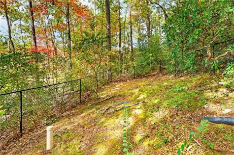 247 Hillside Drive Clayton GA 30525