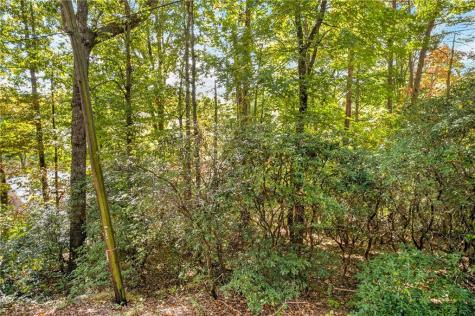 247 Hillside Drive Clayton GA 30525