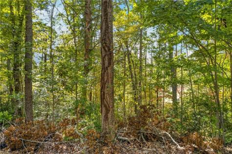 247 Hillside Drive Clayton GA 30525