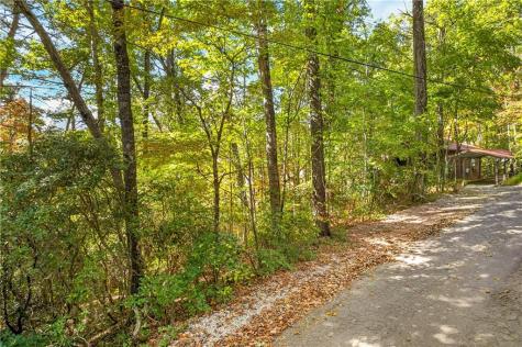 247 Hillside Drive Clayton GA 30525