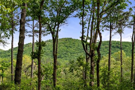 245 Old Anderson Creek Ellijay GA 30536