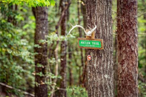245 Old Anderson Creek Ellijay GA 30536