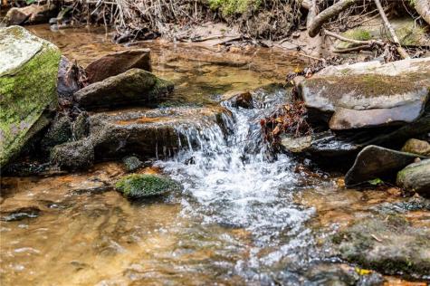 245 Old Anderson Creek Ellijay GA 30536