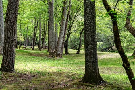 245 Old Anderson Creek Ellijay GA 30536
