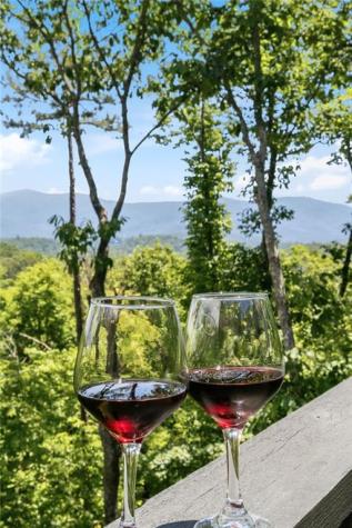 254 Leatherwood Mountain Road Ellijay GA 30540