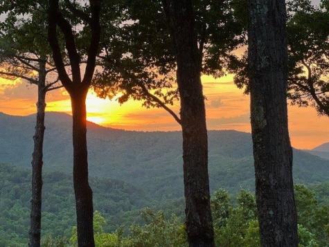 254 Leatherwood Mountain Road Ellijay GA 30540