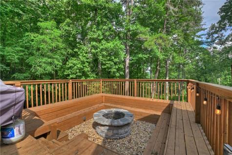 2 Watson Gap Road Mineral Bluff GA 30559