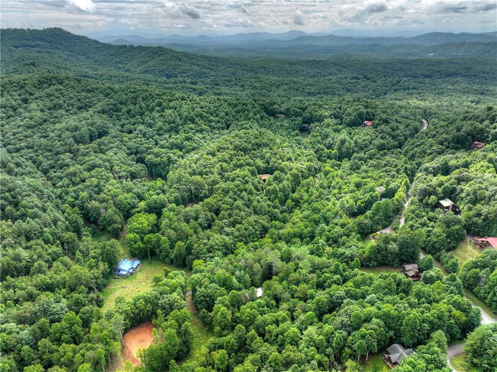 2 Watson Gap Road Mineral Bluff GA 30559